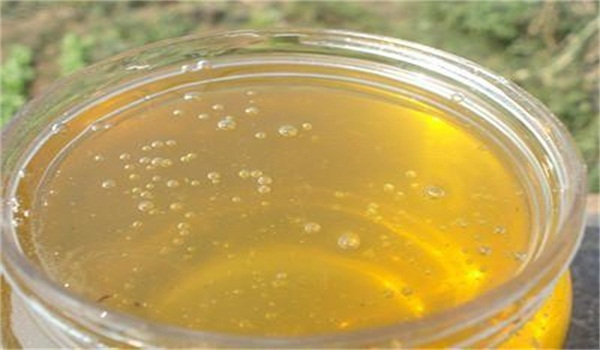 處女王交尾成功工蜂有什么表現（中蜂王交尾成功工蜂表現）