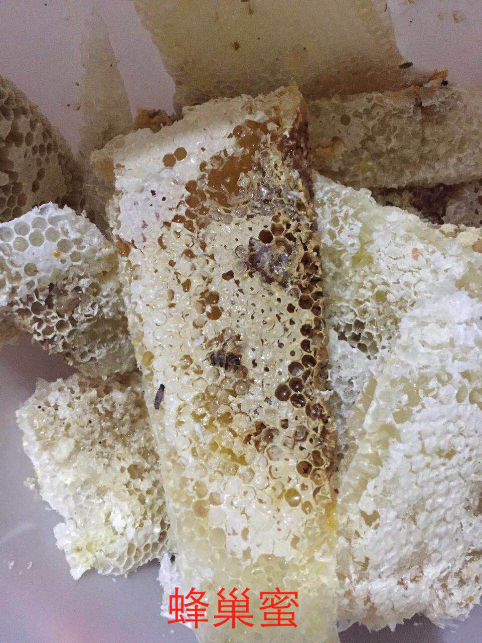 養(yǎng)中蜂的詳細技術方法要點（中蜂養(yǎng)殖發(fā)展快的技巧）