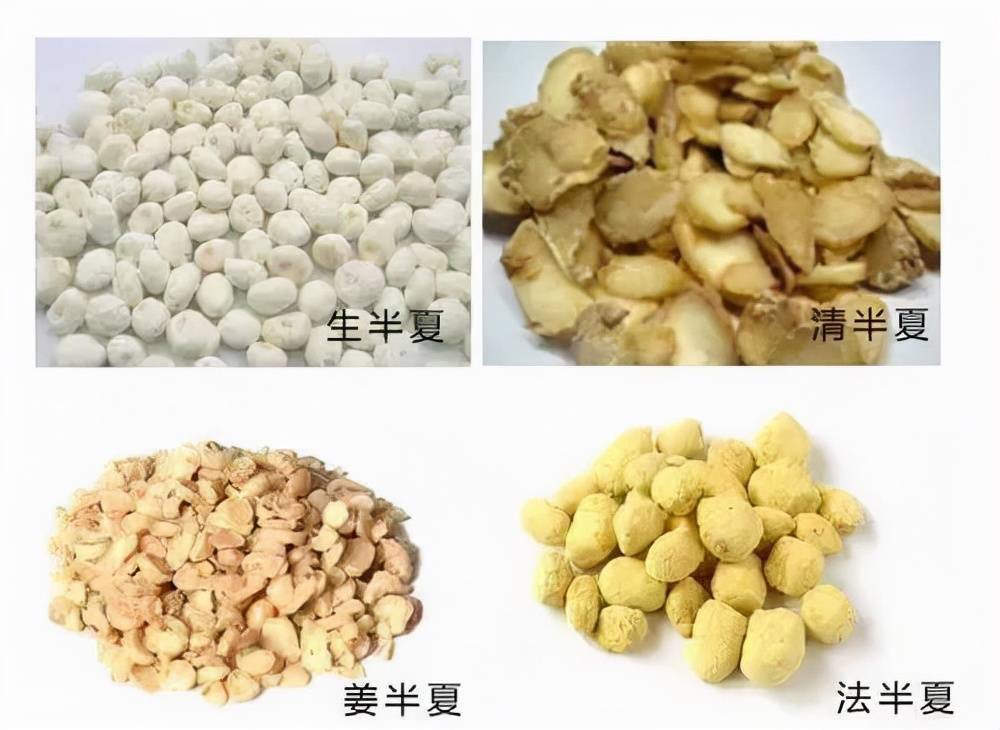 半夏的價(jià)格多少錢一斤（半夏市場價(jià)格）