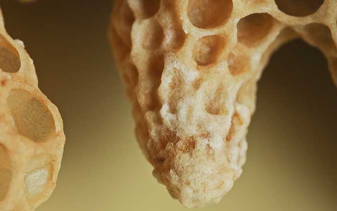 蜜蜂失王后怎樣造王臺？