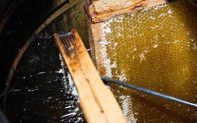 蜂產(chǎn)品有哪些種類？不僅僅只有蜂蜜，有些蜂產(chǎn)品比蜂蜜還要值錢！