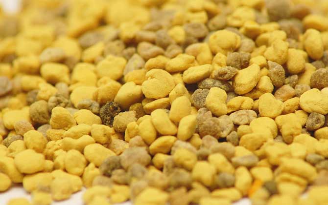 蜂花粉的作用與功效有哪些？經常吃些蜂花粉，這7個好處跑不了！