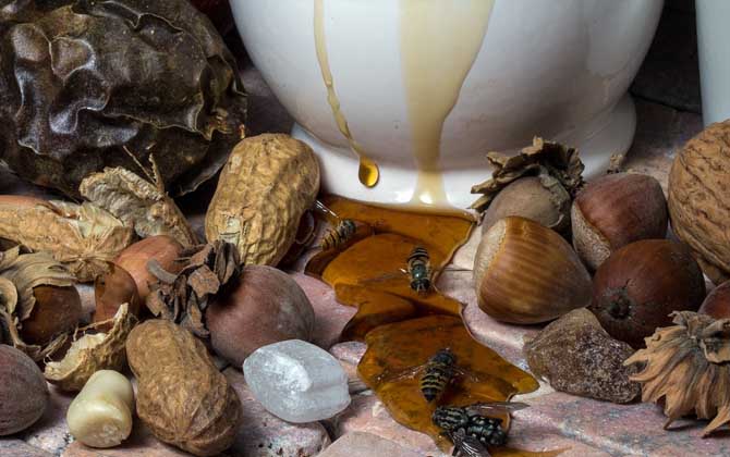 蜂蜜放了10年還能吃嗎？取決于蜂蜜是否變質，變質的蜂蜜不能吃！