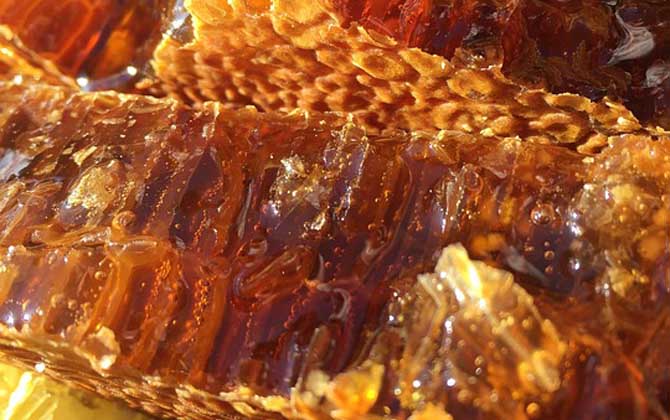 蜂巢酒的禁忌有哪些？除了不能過量飲用，還要警惕發生過敏反應！