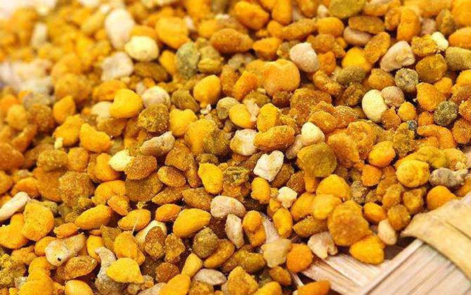 蜂花粉的禁忌有哪些？除了不能過量食用，還要提防發生過敏反應！