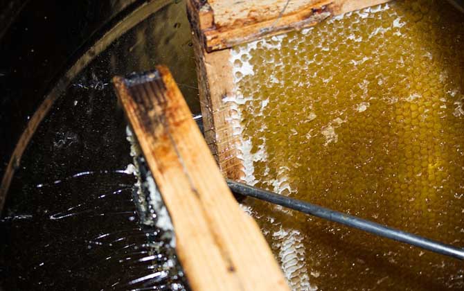 真蜂蜜大概多少錢一斤？最便宜的都要50元，有些甚至要200多元！