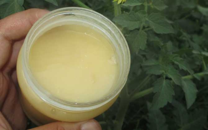 天天喝蜂蜜會不會發胖？看食用量，適量能減肥，過量越喝越胖！