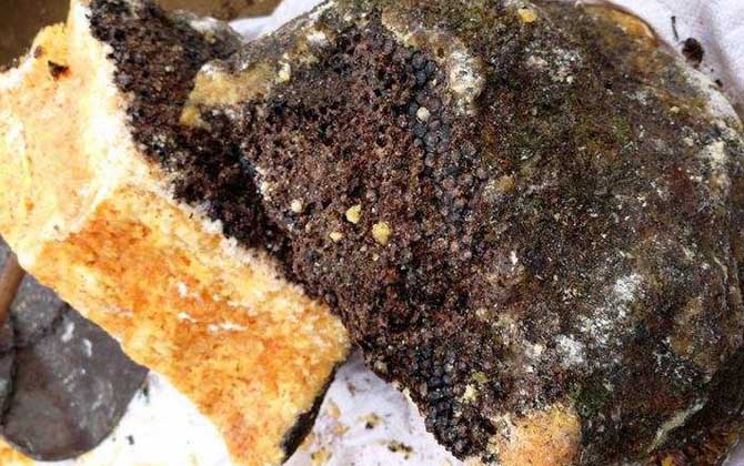 石蜜是什么東西？和蜂蜜沒有任何關系，騙子常用來欺騙消費者！