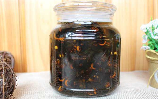 虎頭蜂酒真的能壯陽嗎？有一定的輔助效果，但飲用不當易中毒！