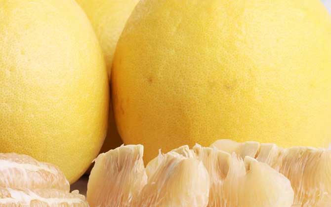 自制蜂蜜柚子茶怎么做？只需5步就能做好，既簡單又好喝！