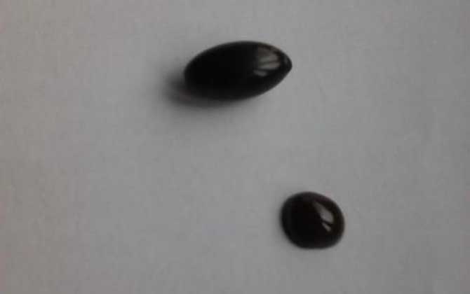 女性吃蜂膠要注意什么？要謹(jǐn)防發(fā)生過敏反應(yīng)，更不能過量服用！