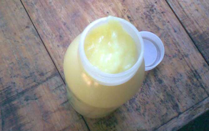 蜂王漿的副作用與禁忌，絕對不能過量食用，這4類人也要少吃！