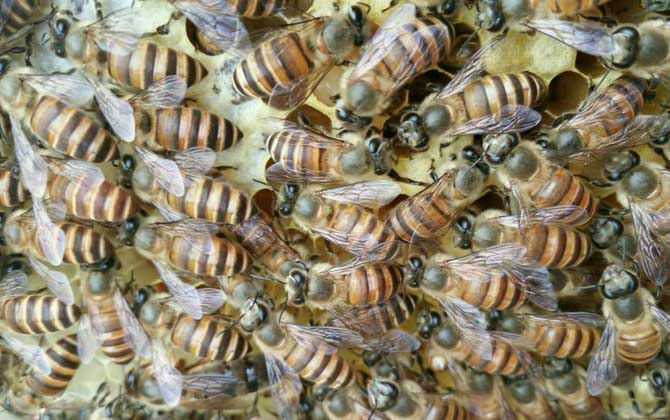 工產群怎么介王安全？