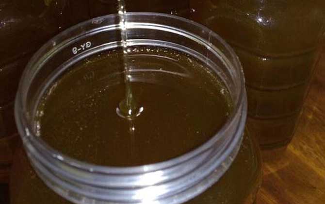 龍眼蜜價格多少錢一斤？