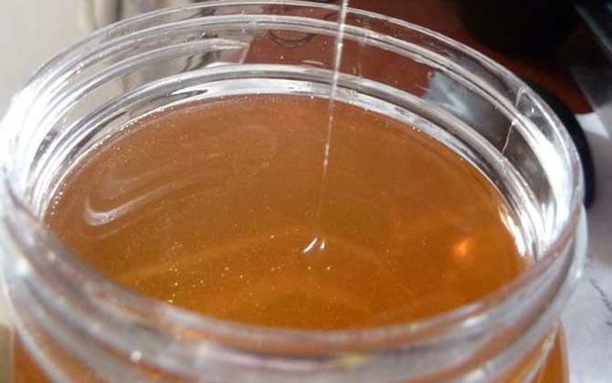 蘋果蜜價格多少錢一斤？