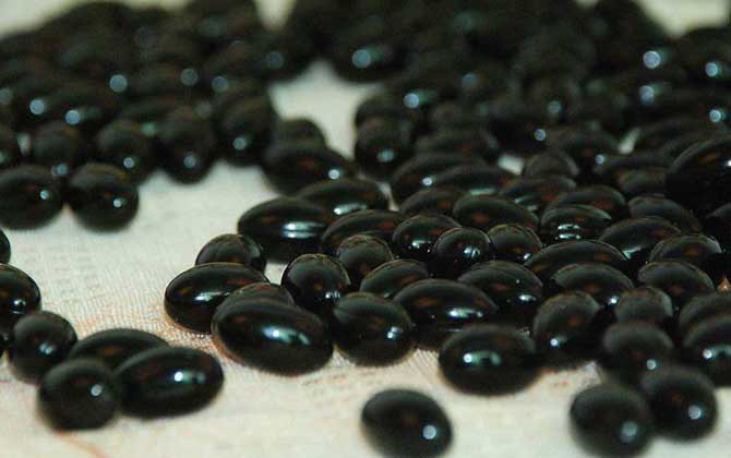 女性經常吃蜂膠有什么害處？