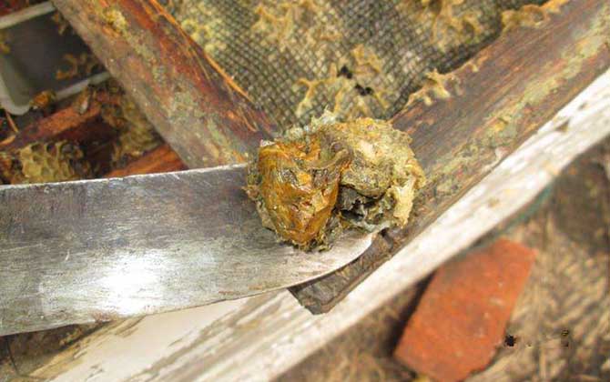 男人長期吃蜂膠有什么副作用？