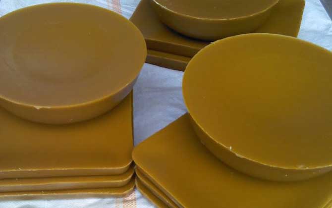 蜂蠟一般在哪里能買到？