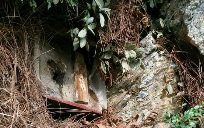 空蜂箱怎么引來(lái)蜜蜂？