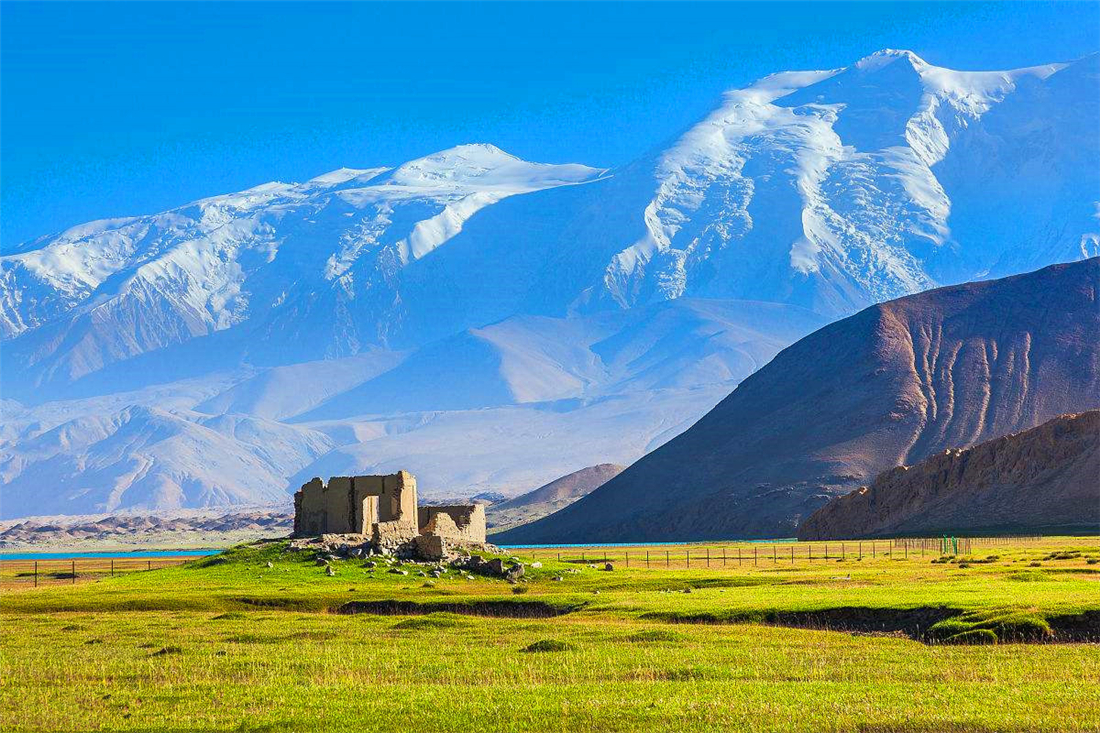 帕米爾高原的香鼬為何散發(fā)一種香氣？