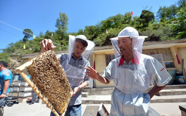 養(yǎng)蜂要辦營(yíng)業(yè)執(zhí)照嗎（養(yǎng)蜂營(yíng)業(yè)執(zhí)照辦理手續(xù)）