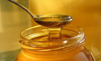 浙江有哪些蜜粉源植物（浙江養蜂業之蜜粉源植物介紹）